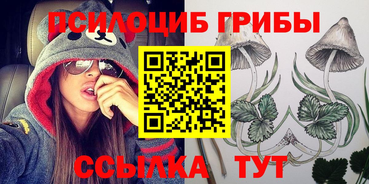 Псков  Галлюциногенные грибы мицелий  Псилоцибиновые грибы мицелий  Вход с VPN 
