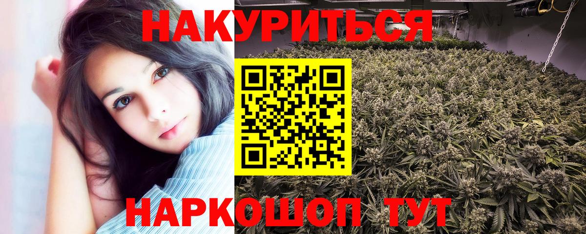 Бошки Шишки сатива Псков